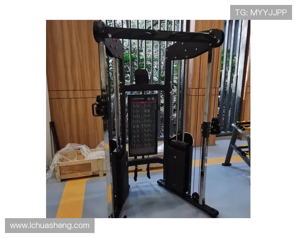 跳的健身器材有哪些适合高强度燃脂的类型