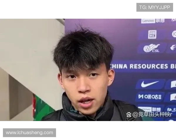 杨晨效力德甲时所在球队详细信息